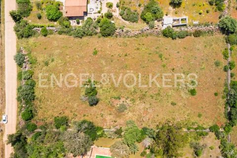 Terra a Tunes, Faro, Tunes - € 198.000 | Ref: W-02ZQKH - foto 3