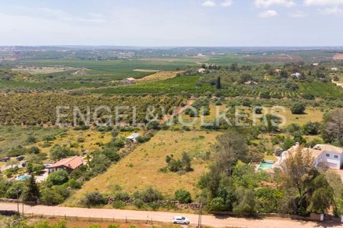 Terra a Tunes, Faro, Tunes - € 198.000 | Ref: W-02ZQKH - foto 4