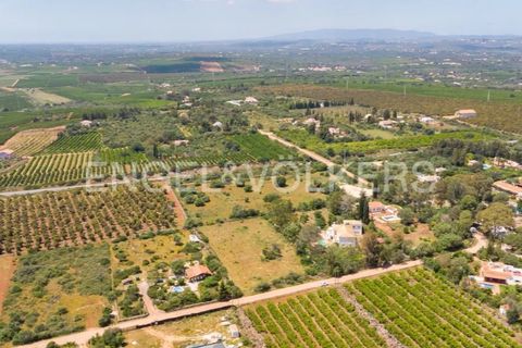 Terra a Tunes, Faro, Tunes - € 198.000 | Ref: W-02ZQKH - foto 5