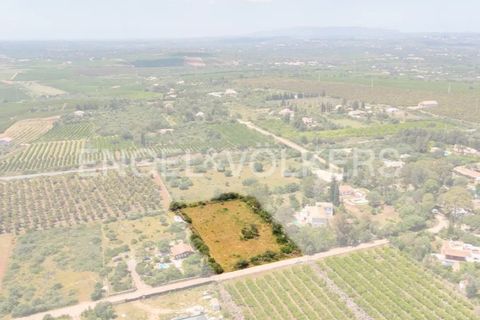 Terra a Tunes, Faro, Tunes - € 198.000 | Ref: W-02ZQKH - foto 6