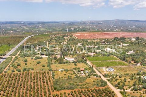 Terra a Tunes, Faro, Tunes - € 198.000 | Ref: W-02ZQKH - foto 7
