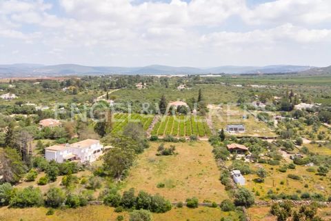 Terra a Tunes, Faro, Tunes - € 198.000 | Ref: W-02ZQKH - foto 9