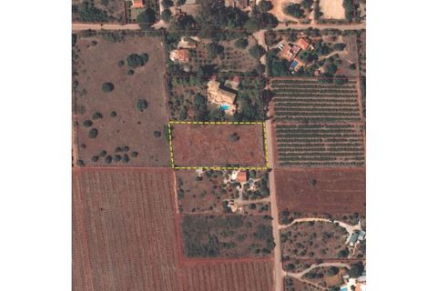 Terra a Tunes, Faro, Tunes - € 198.000 | Ref: W-02ZQKH - foto 10