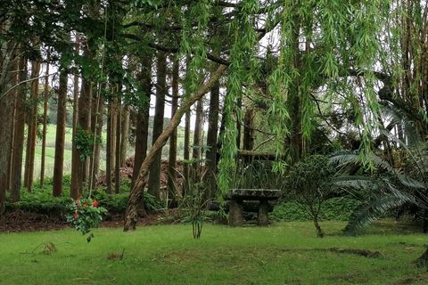 Byhus i Horta, Faial, Horta - € 720.000 | Ref: 1119 - foto 28