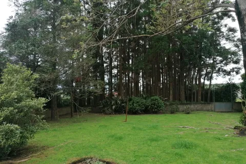 Byhus i Horta, Faial, Horta - € 720.000 | Ref: 1119 - foto 25