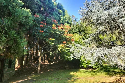 Byhus i Horta, Faial, Horta - € 720.000 | Ref: 1119 - foto 7