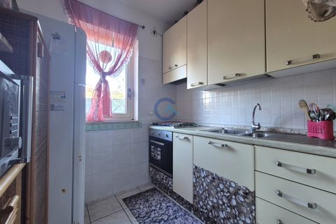 Villa a Borgia, Catanzaro, Borgia - € 500/mes | Ref: CZ01-AA577 - foto 17