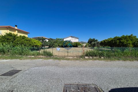 Terra a Borgia, Catanzaro, Borgia - € 105.000 | Ref: CZ-844 - foto 2