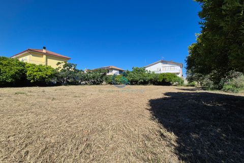 Terra a Borgia, Catanzaro, Borgia - € 105.000 | Ref: CZ-844 - foto 3