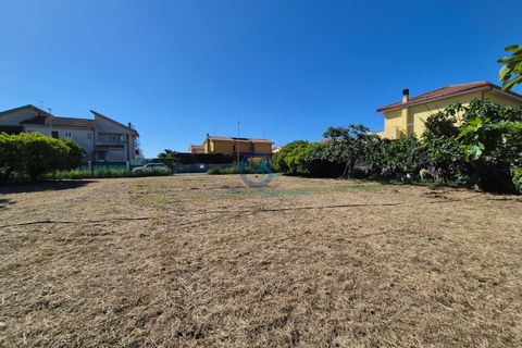 Terra a Borgia, Catanzaro, Borgia - € 105.000 | Ref: CZ-844 - foto 4
