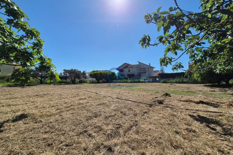 Terra a Borgia, Catanzaro, Borgia - € 105.000 | Ref: CZ-844 - foto 5