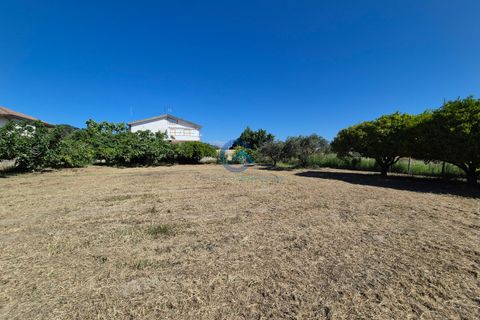 Terra a Borgia, Catanzaro, Borgia - € 105.000 | Ref: CZ-844 - foto 6