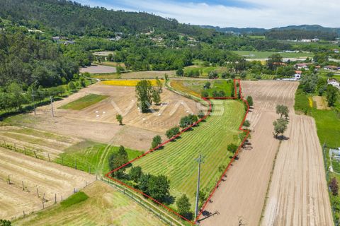 Terra a Vila Verde, Braga, Vila Verde - € 57.500 | Ref: 01-3627 - foto 2