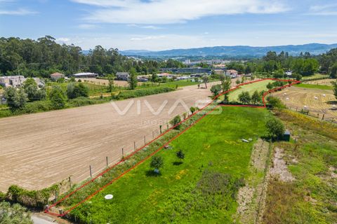Terra a Vila Verde, Braga, Vila Verde - € 57.500 | Ref: 01-3627 - foto 3