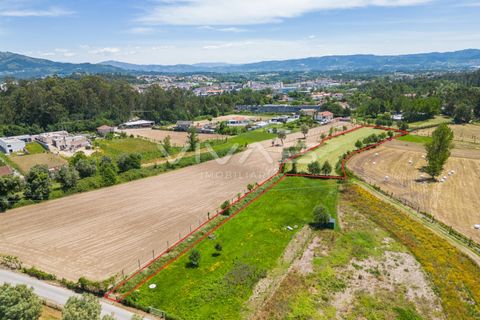 Terra a Vila Verde, Braga, Vila Verde - € 57.500 | Ref: 01-3627 - foto 4