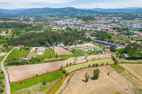 Terra a Vila Verde, Braga, Vila Verde - € 57.500 | Ref: 01-3627 - foto 5