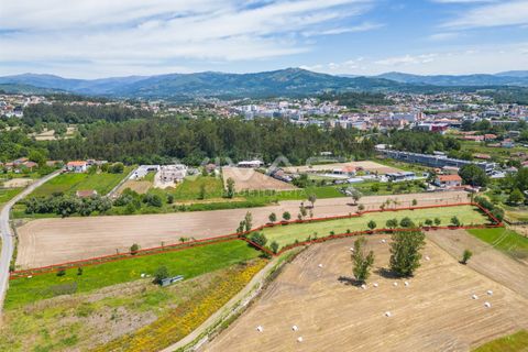 Terra a Vila Verde, Braga, Vila Verde - € 57.500 | Ref: 01-3627 - foto 6
