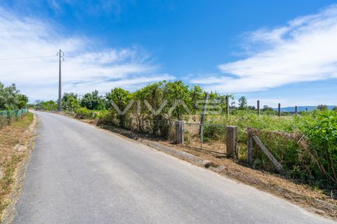 Terra a Vila Verde, Braga, Vila Verde - € 57.500 | Ref: 01-3627 - foto 8