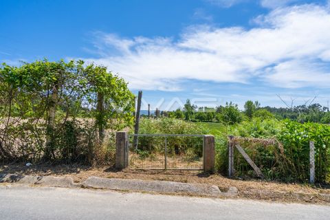 Terra a Vila Verde, Braga, Vila Verde - € 57.500 | Ref: 01-3627 - foto 9