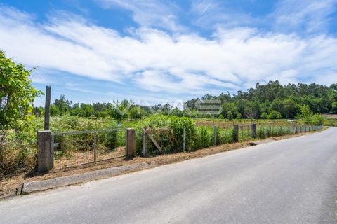Terra a Vila Verde, Braga, Vila Verde - € 57.500 | Ref: 01-3627 - foto 10