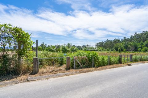 Terra a Vila Verde, Braga, Vila Verde - € 57.500 | Ref: 01-3627 - foto 11