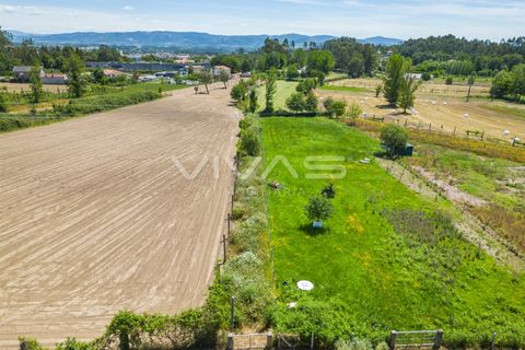 Terra a Vila Verde, Braga, Vila Verde - € 57.500 | Ref: 01-3627 - foto 12
