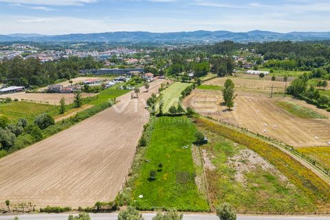 Terra a Vila Verde, Braga, Vila Verde - € 57.500 | Ref: 01-3627 - foto 13