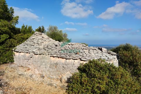 Villa i Monopoli, Bari, Monopoli - € 75.000 | Ref: 11377/2020 - foto 4