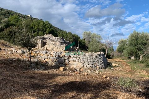 Villa i Monopoli, Bari, Monopoli - € 75.000 | Ref: 11377/2020 - foto 5