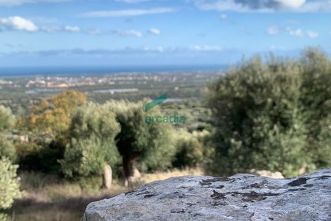 Villa i Monopoli, Bari, Monopoli - € 75.000 | Ref: 11377/2020 - foto 6