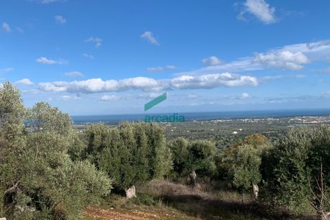 Villa i Monopoli, Bari, Monopoli - € 75.000 | Ref: 11377/2020 - foto 7