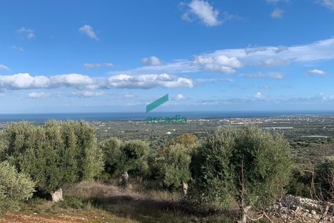 Villa i Monopoli, Bari, Monopoli - € 75.000 | Ref: 11377/2020 - foto 12