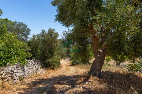 Villa i Monopoli, Bari, Monopoli - € 75.000 | Ref: 11377/2020 - foto 20