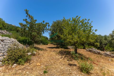 Villa i Monopoli, Bari, Monopoli - € 75.000 | Ref: 11377/2020 - foto 24