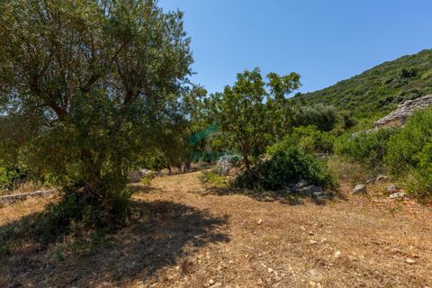 Villa i Monopoli, Bari, Monopoli - € 75.000 | Ref: 11377/2020 - foto 27