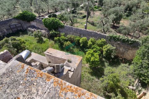 Villa a Giovinazzo, Bari, Giovinazzo - € 250.000 | Ref: 11837/2024 - foto 4