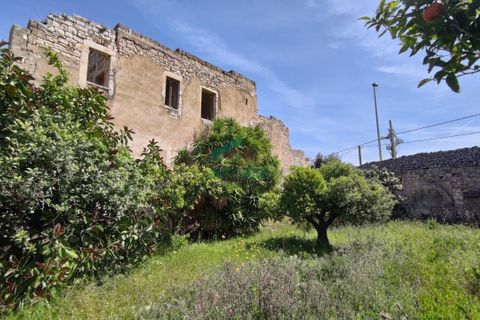 Villa a Giovinazzo, Bari, Giovinazzo - € 250.000 | Ref: 11837/2024 - foto 21