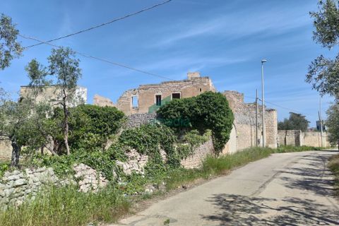 Villa a Giovinazzo, Bari, Giovinazzo - € 250.000 | Ref: 11837/2024 - foto 28