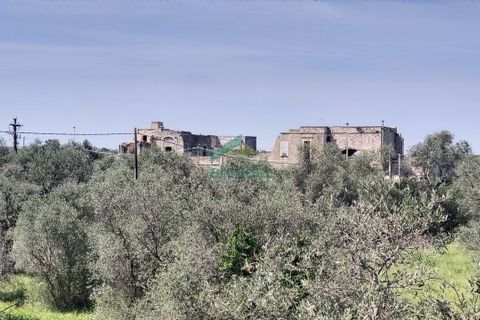 Villa a Giovinazzo, Bari, Giovinazzo - € 250.000 | Ref: 11837/2024 - foto 29
