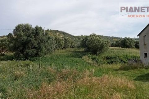 Villa a Controguerra, Teramo, Controguerra - € 190.000 | Ref: VM2708 - foto 2