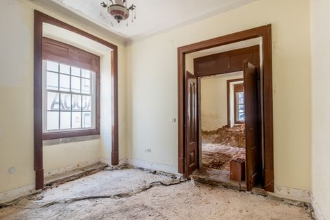 Villa i Cascais, Lisbon, Cascais - € 3.500.000 | Ref: CAS_7381 - foto 13