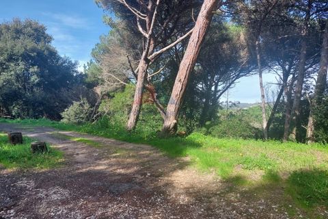 Helårsgrund i Sintra, Lisbon, Sintra - € 150.000 | Ref: 2025-25 - foto 1