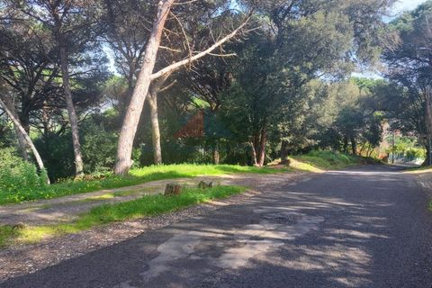 Helårsgrund i Sintra, Lisbon, Sintra - € 150.000 | Ref: 2025-25 - foto 2