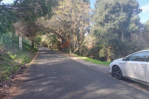 Helårsgrund i Sintra, Lisbon, Sintra - € 150.000 | Ref: 2025-25 - foto 4