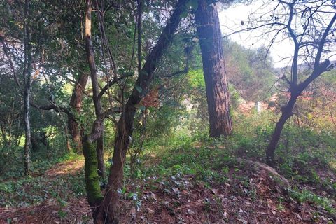 Helårsgrund i Sintra, Lisbon, Sintra - € 150.000 | Ref: 2025-25 - foto 5
