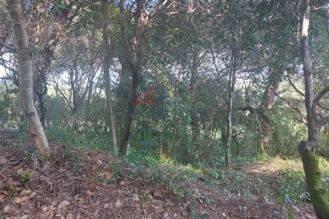 Helårsgrund i Sintra, Lisbon, Sintra - € 150.000 | Ref: 2025-25 - foto 6