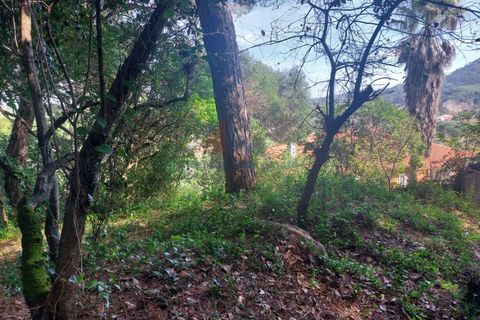 Helårsgrund i Sintra, Lisbon, Sintra - € 150.000 | Ref: 2025-25 - foto 7