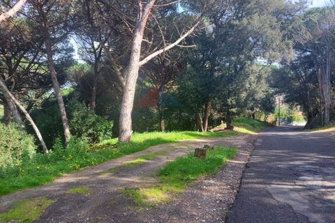 Helårsgrund i Sintra, Lisbon, Sintra - € 150.000 | Ref: 2025-25 - foto 8