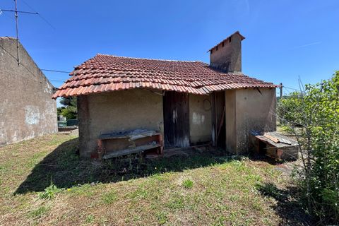 Villa i Tomar, Santarem, Tomar - € 75.000 | Ref: TL016 - foto 5