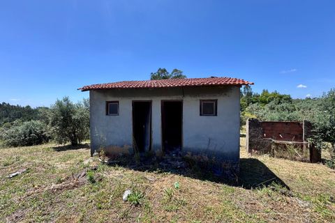 Villa i Tomar, Santarem, Tomar - € 75.000 | Ref: TL016 - foto 7